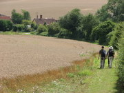 Walking from Gt Chesterford