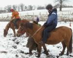 Pony Trekking at Cantref