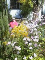 Saffron Walden hostel garden