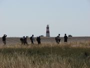 Orford Ness