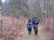 Snowy walk near Castle Rising