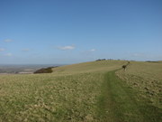 South Downs Way