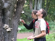 Admiring the Fungi, Epping Forest