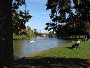 The Avon at Stratford
