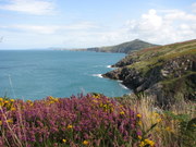 St Davids Head