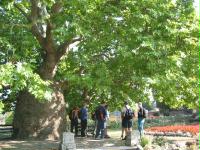 Westgate gardens, Canterbury