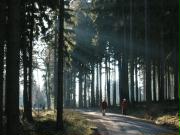 Herzberg, Taunus Hills