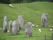 Avebury stones