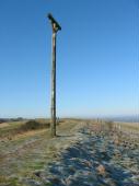 Coombe Gibbet