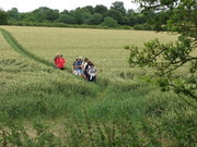 Walking between the Pelhams