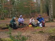 Lunch in the New Forest
