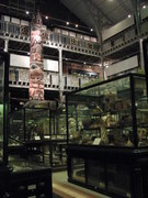 Pitt Rivers Museum, Oxford