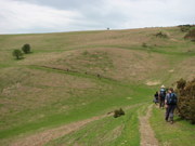 Hergest Ridge walk