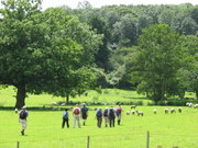 Walking in the Colne Valley