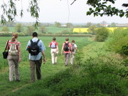 Walking from Billericay