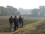 Walking the Essex Way