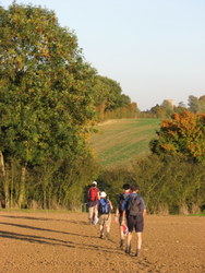 Essex Way, Willingale