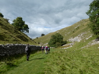 Hall Dale