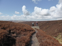 Pennine Way, Bleaklow