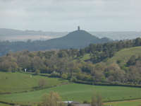 Glastonbury Tor from Lollover Hill