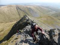 Sharp Edge