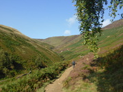 Grindsbrook