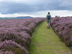 The Long Mynd