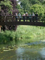 Thames Path, Benson Oxfordshire