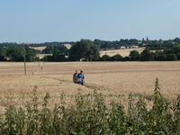 Saffron Trail Gt Easton