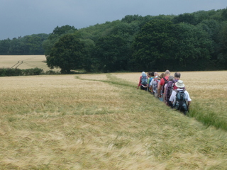 On the Saffron Trail, Widdington