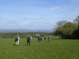 Walking near Lingfield