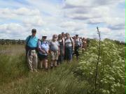 Walking by the Stour at Manningtree