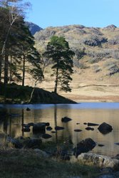 Blea Tarn (Ali)