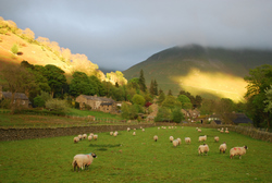 Hartsop (Tom)