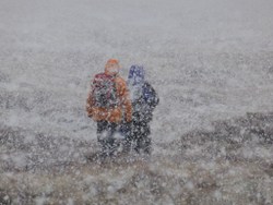 Bleaklow blizzard (Dave P)