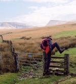 It's not particularly silly