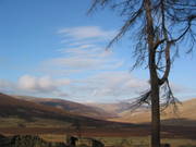 View from Skiddaw House