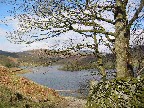 Rydal Water
